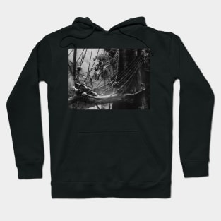 Habitat Hoodie